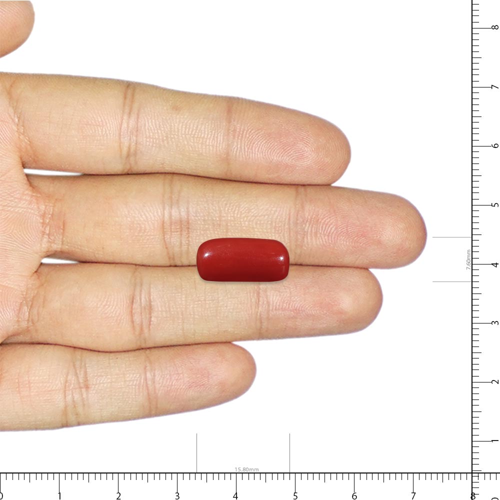 Red Coral - 5.79 Carat