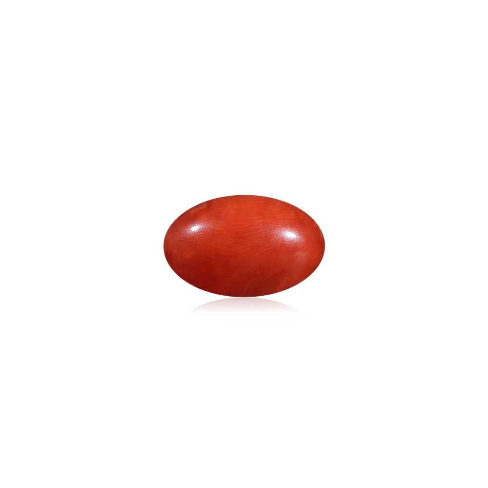 Red Coral - 5.82 Carat