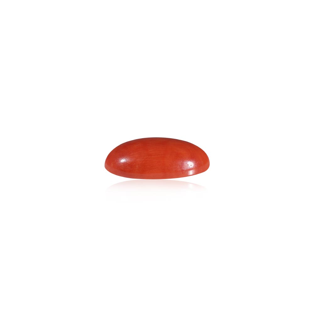 Red Coral - 5.82 Carat