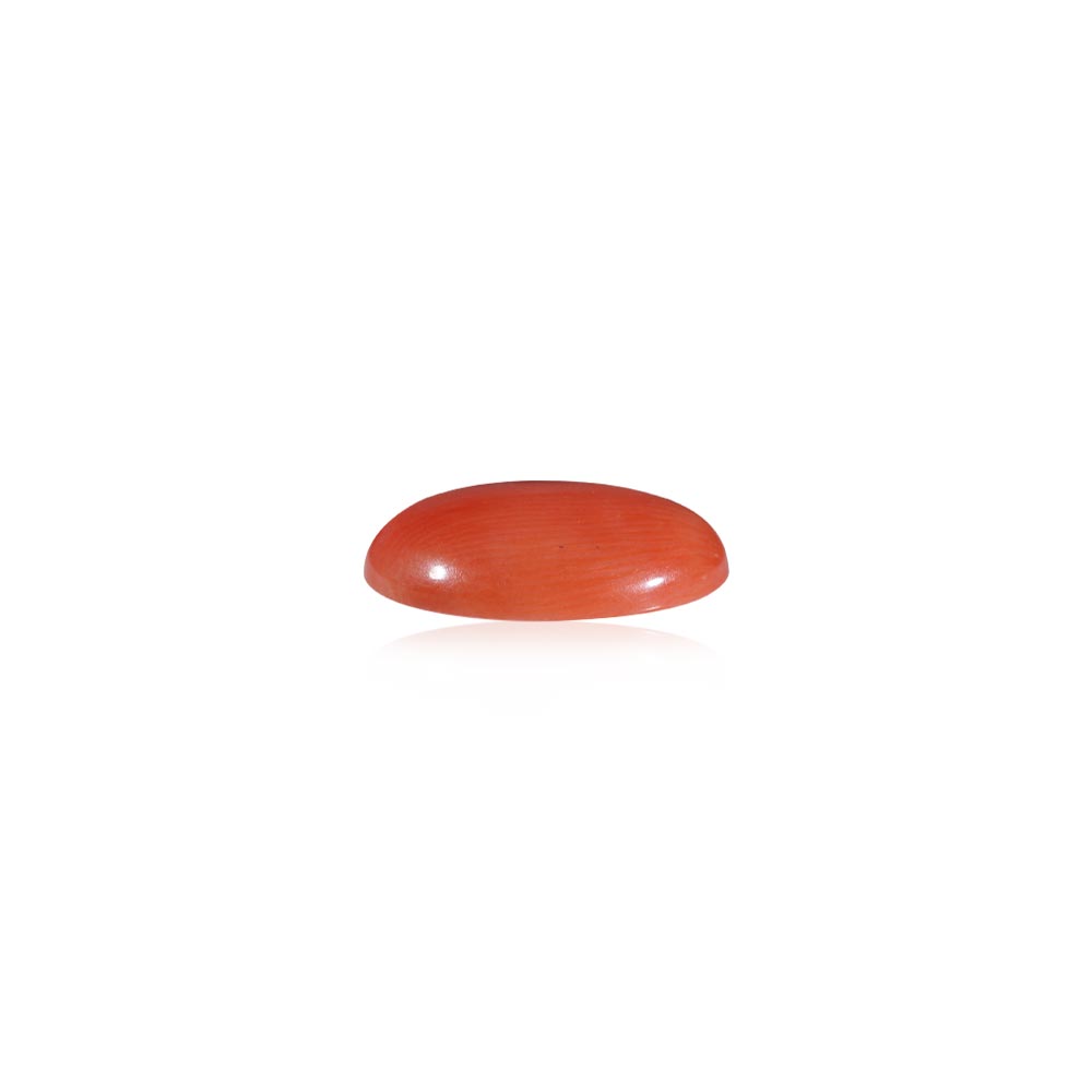 Red Coral - 5.85 Carat