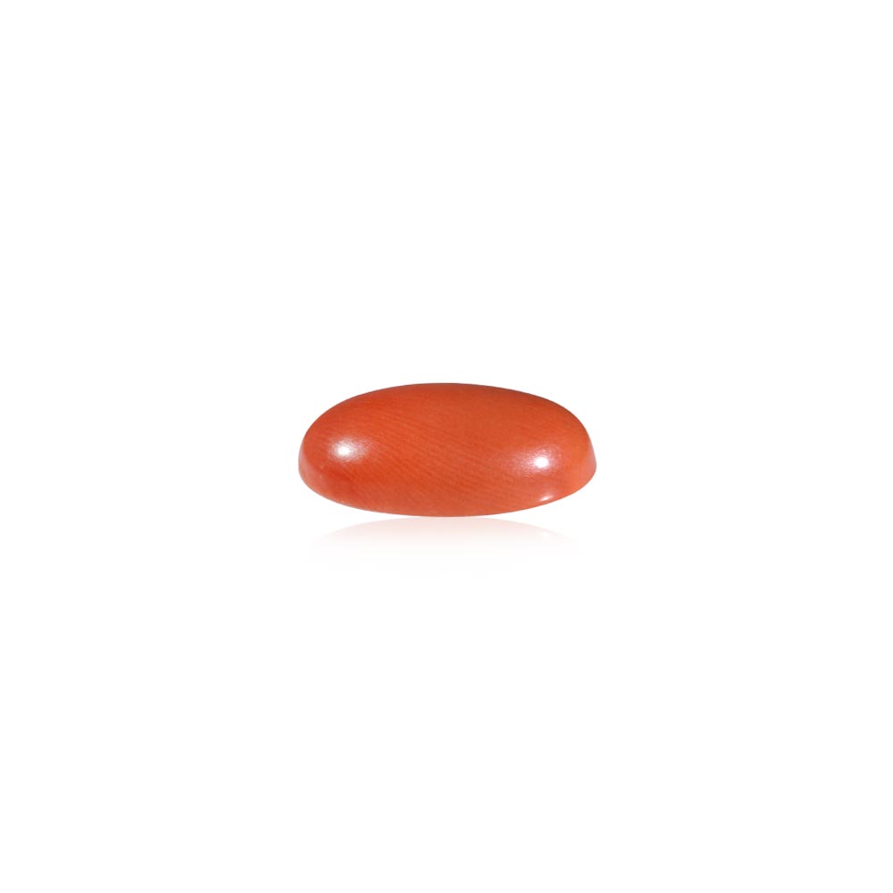 Red Coral - 5.91 Carat