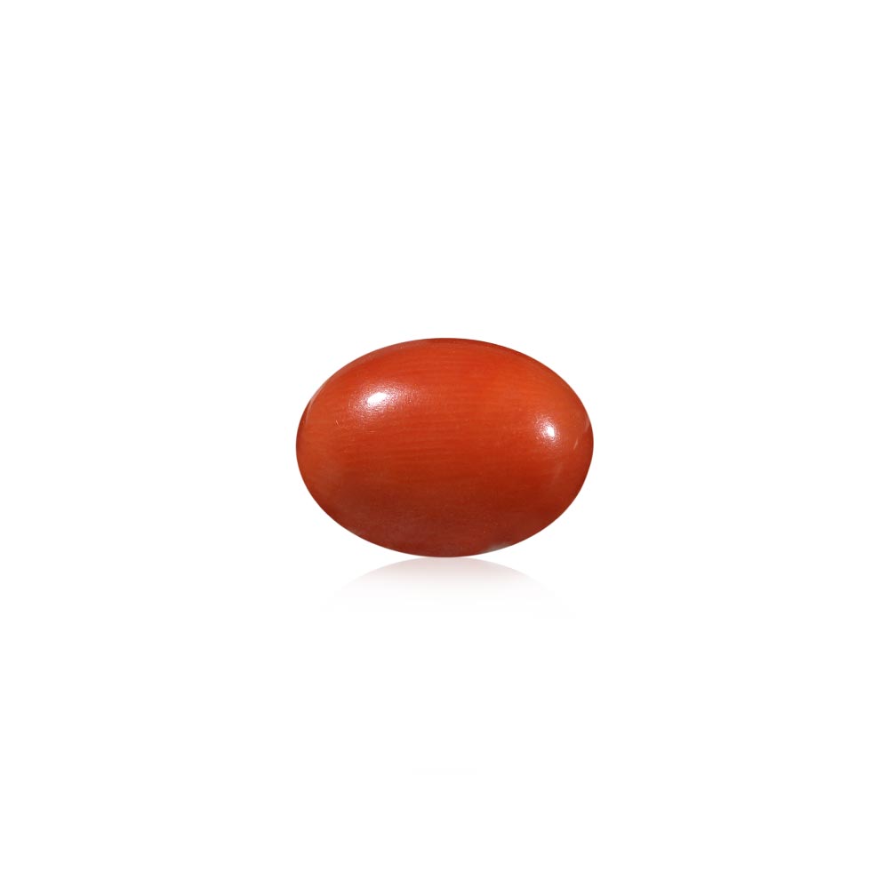 Red Coral - 5.96 Carat
