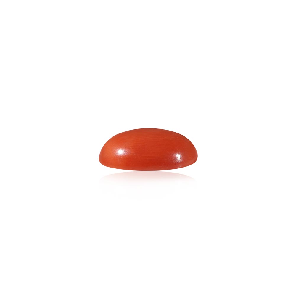 Red Coral - 5.96 Carat
