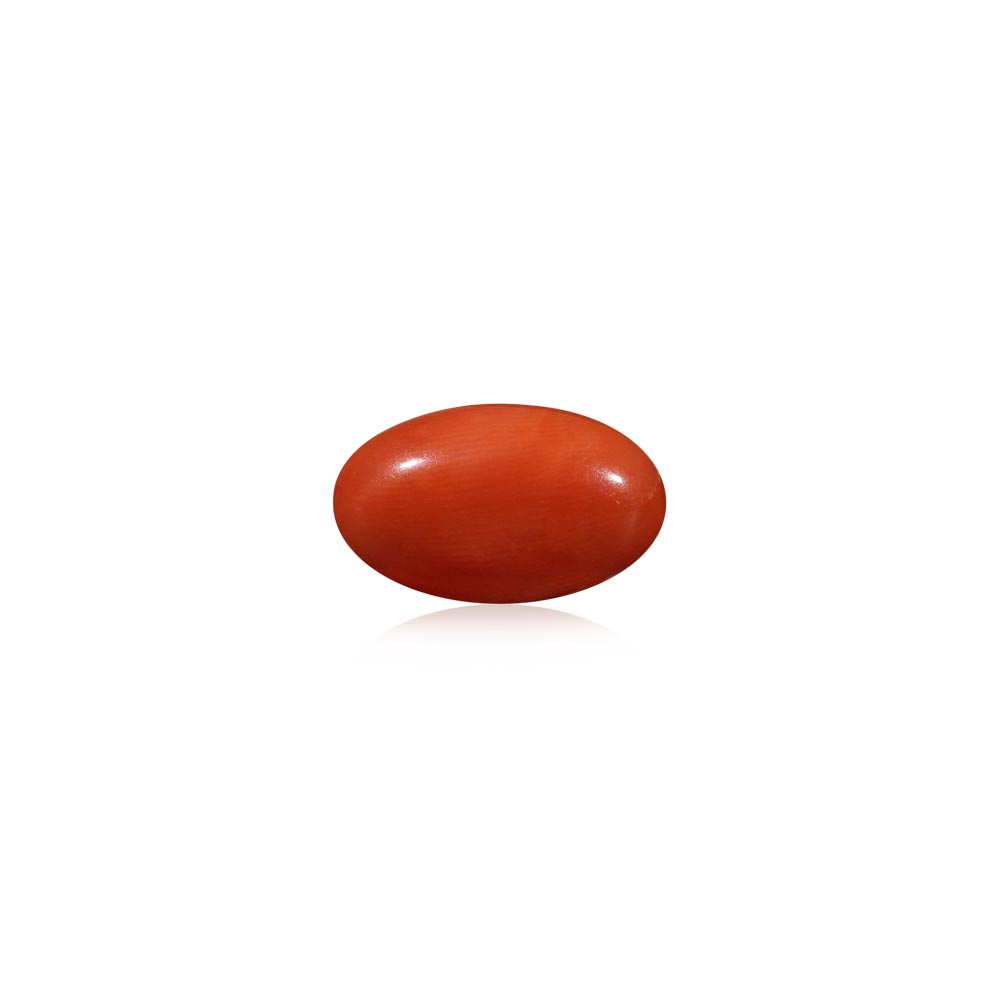 Red Coral - 6.06 Carat