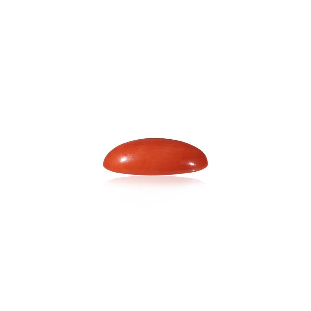 Red Coral - 6.06 Carat