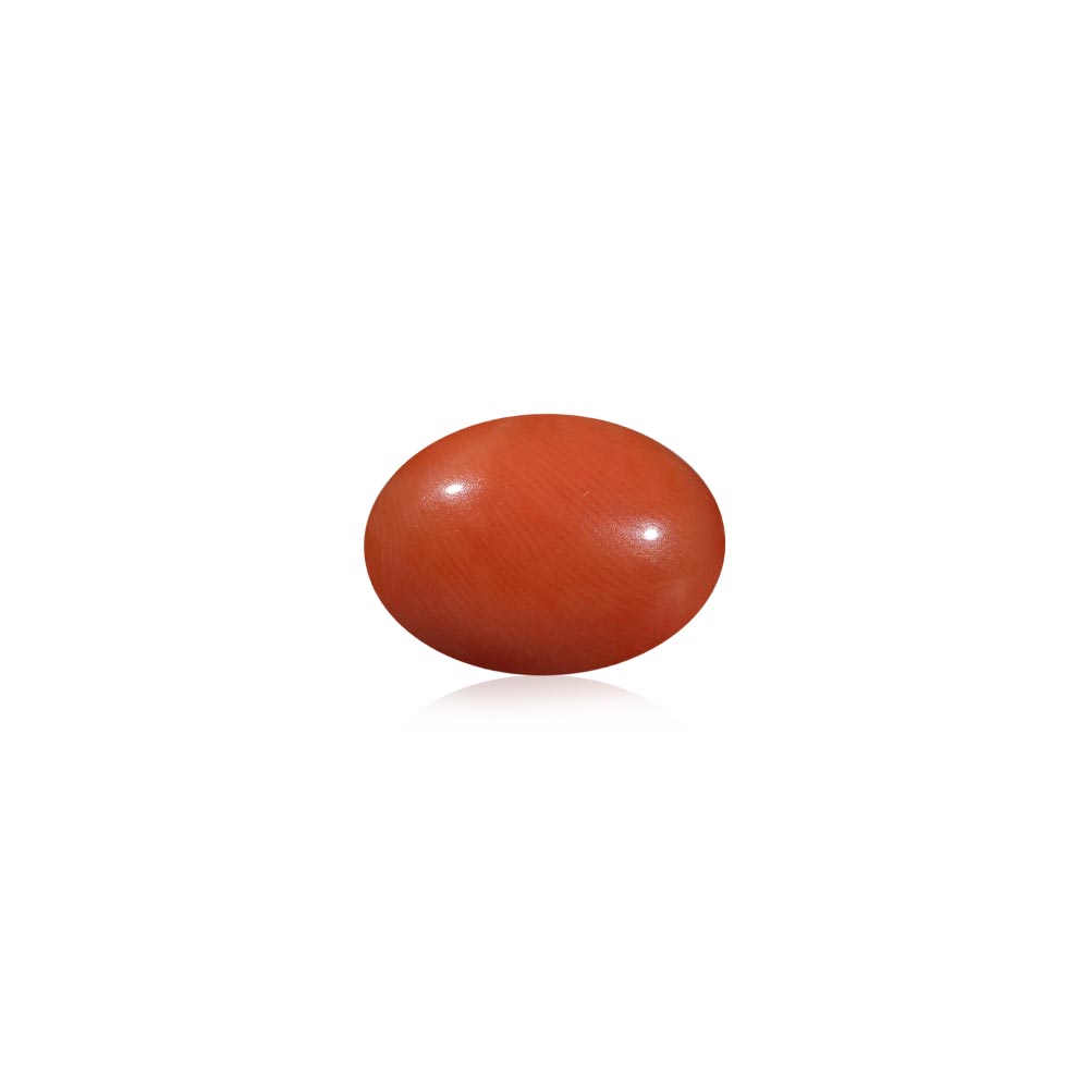 Red Coral - 6.08 Carat