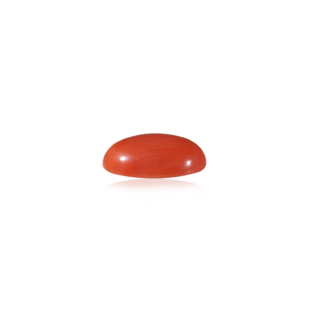 Red Coral - 6.1 Carat