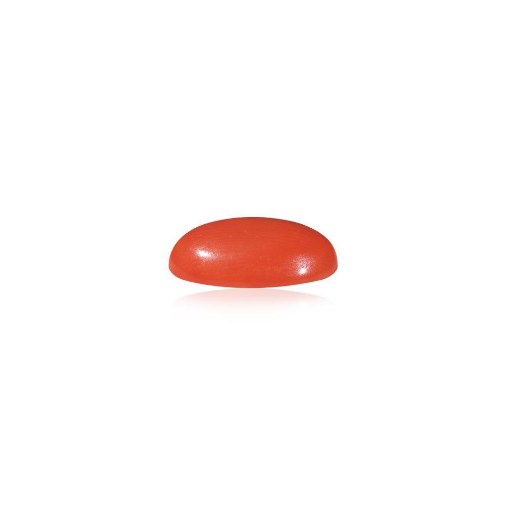 Red Coral - 6.12 Carat