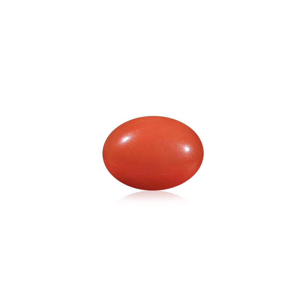 Red Coral - 6.12 Carat