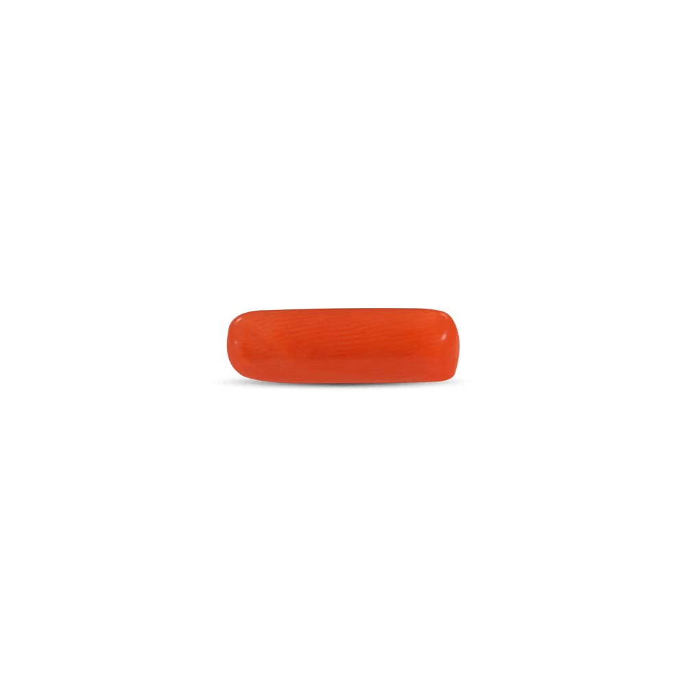 Red Coral - 6.14 Carat