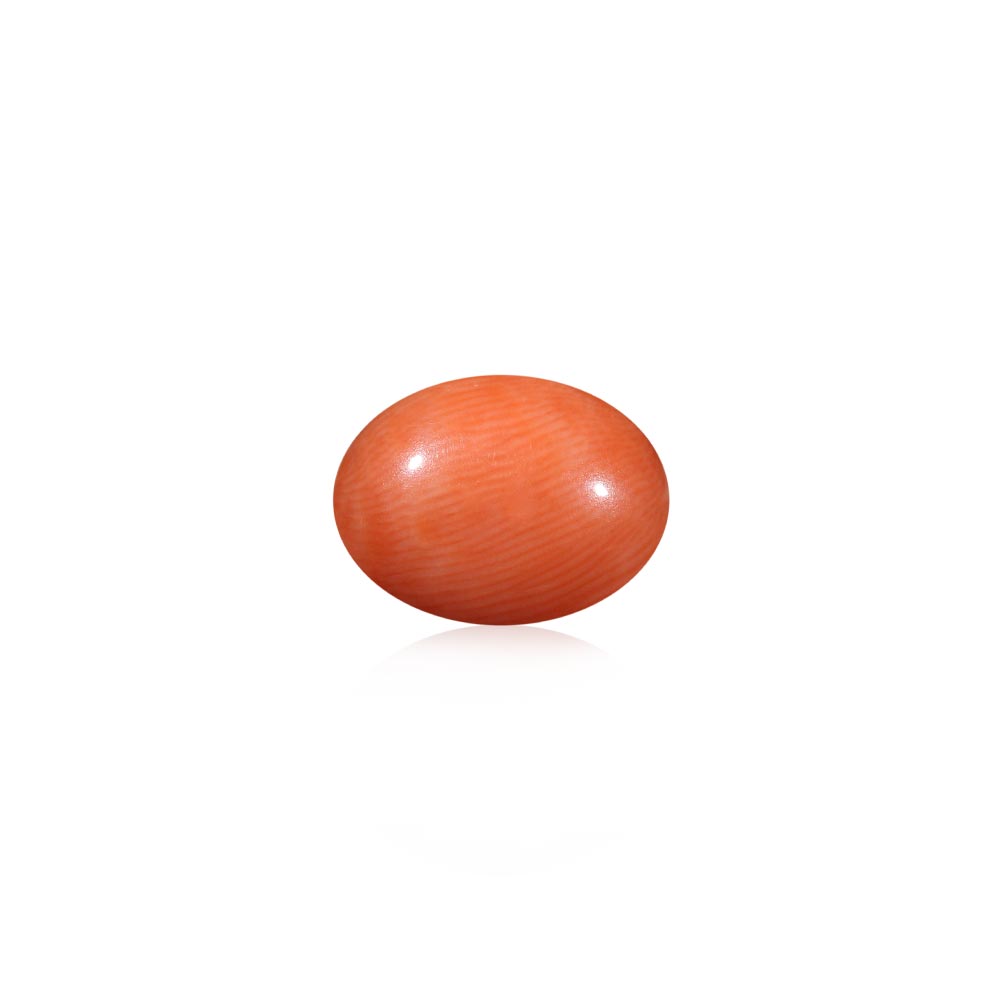 Red Coral - 6.14 Carat