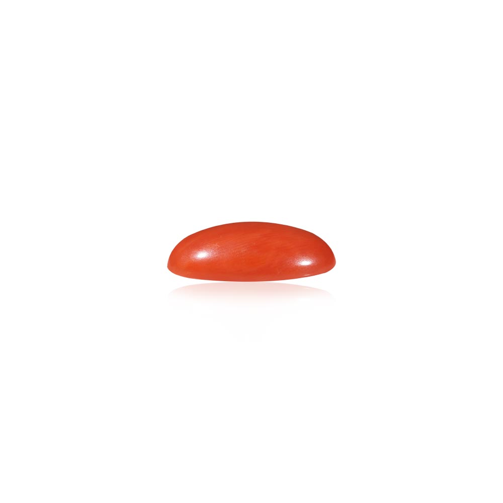 Red Coral - 6.16 Carat