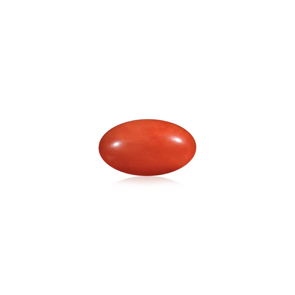 Red Coral - 6.16 Carat