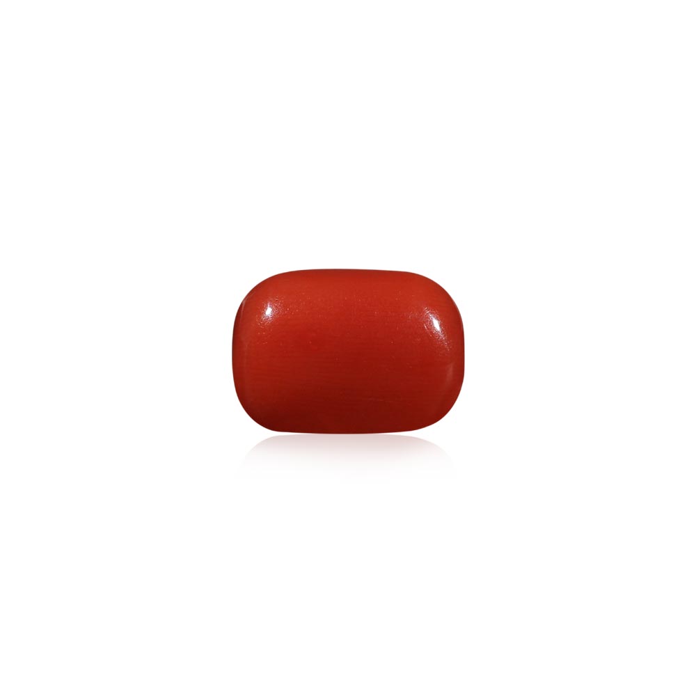 Red Coral - 6.19 Carat
