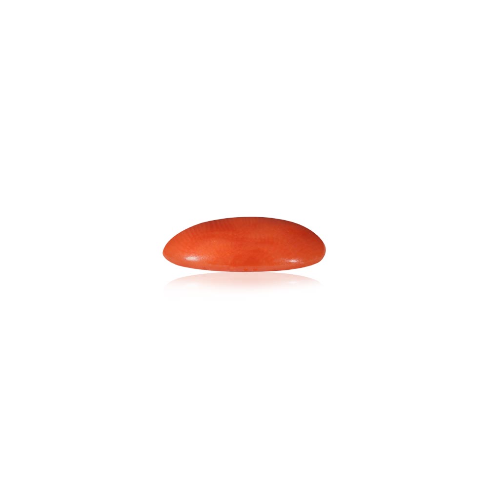 Red Coral - 6.24 Carat