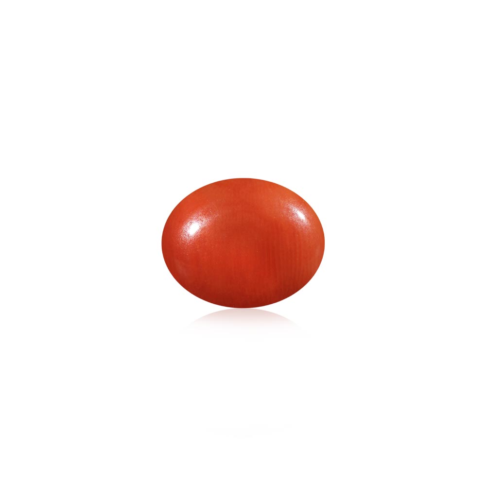 Red Coral - 6.24 Carat
