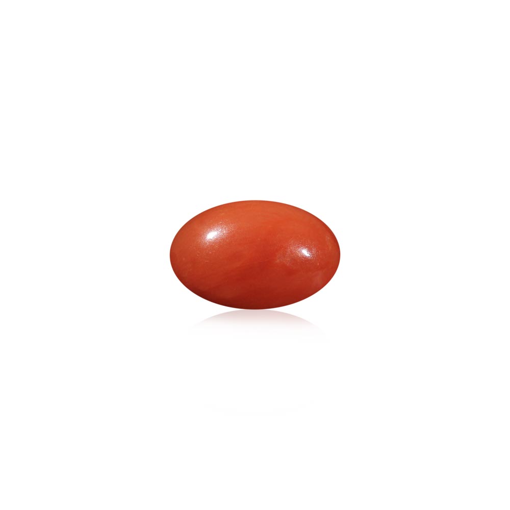 Red Coral - 6.26 Carat