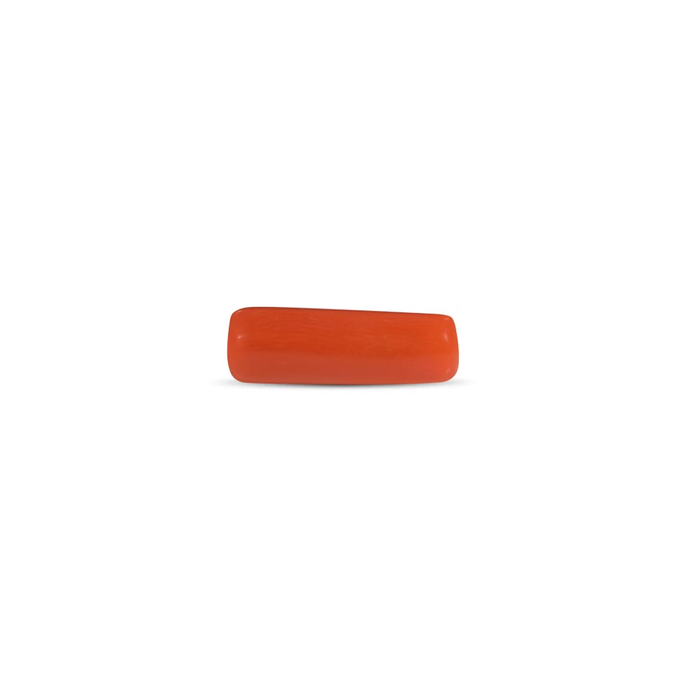 Red Coral - 6.31 Carat