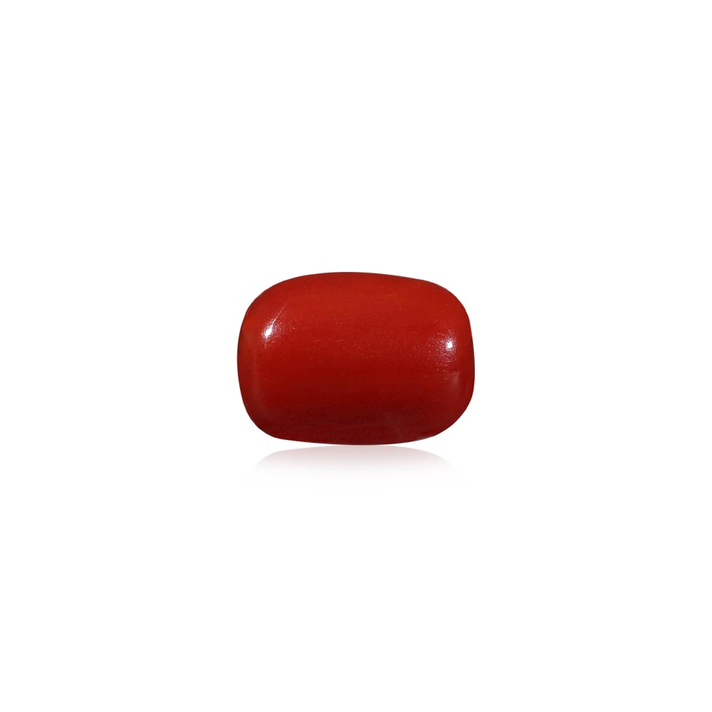 Red Coral - 6.33 Carat