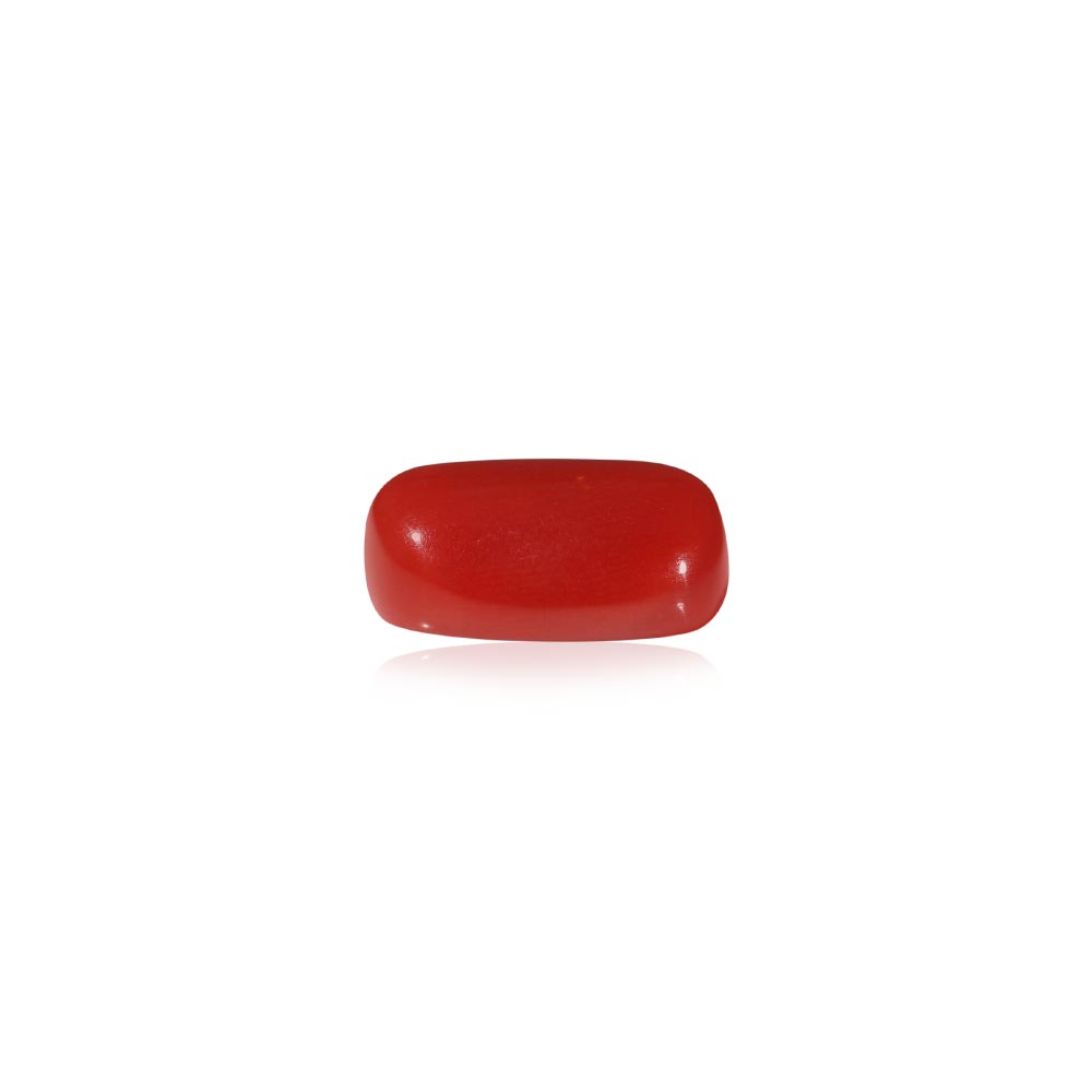 Red Coral - 6.33 Carat