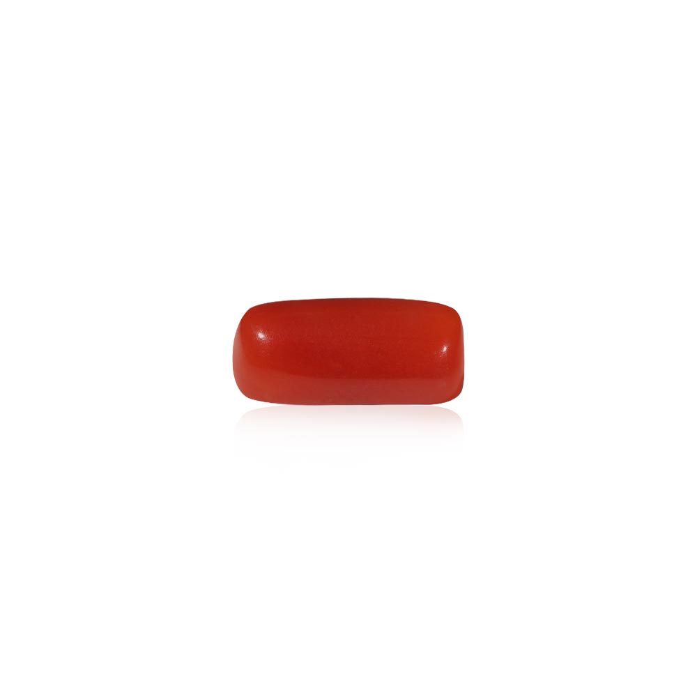 Red Coral - 6.34 Carat