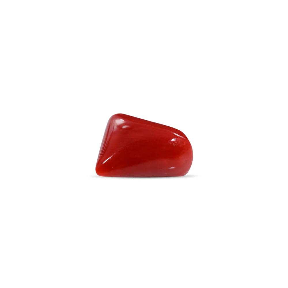Red Coral - 6.34 Carat