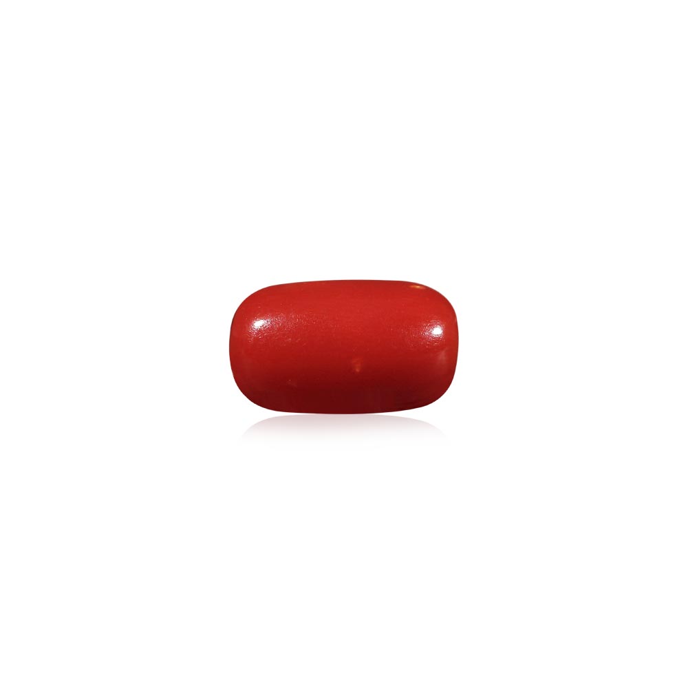 Red Coral - 6.37 Carat