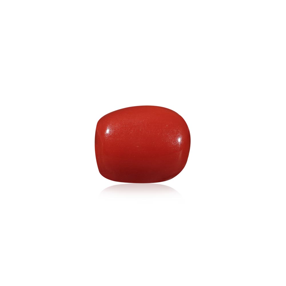 Red Coral - 6.38 Carat