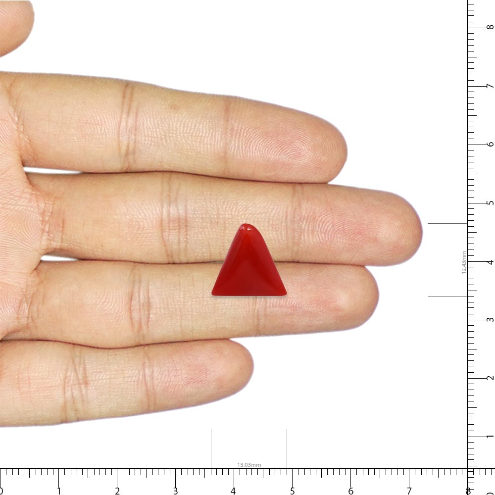 Red Coral - 6.38 Carat