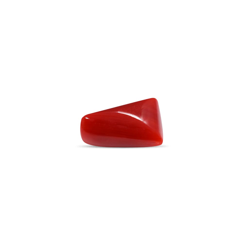 Red Coral - 6.38 Carat