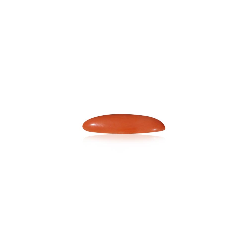 Red Coral - 6.44 Carat