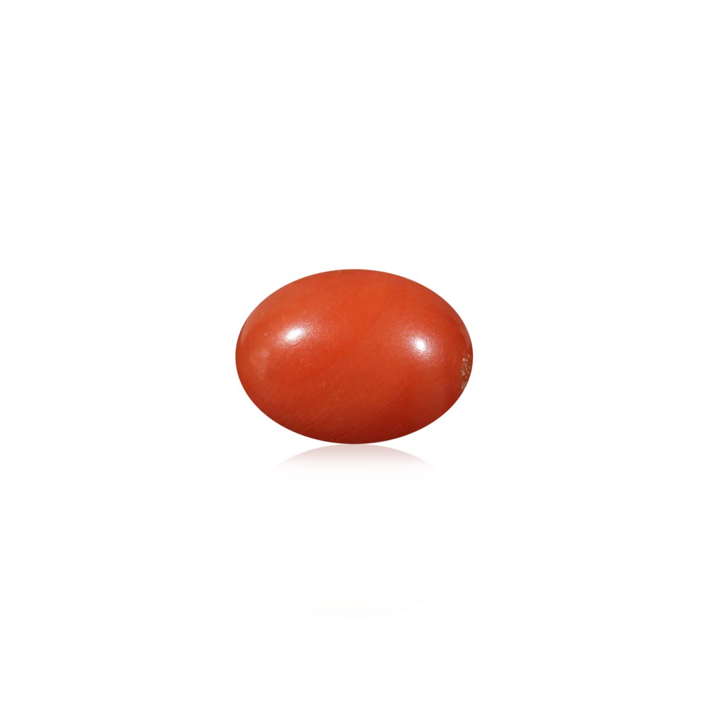 Red Coral - 6.44 Carat