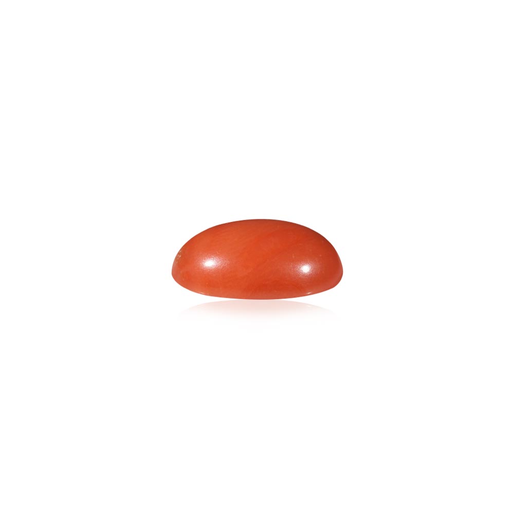 Red Coral - 6.44 Carat