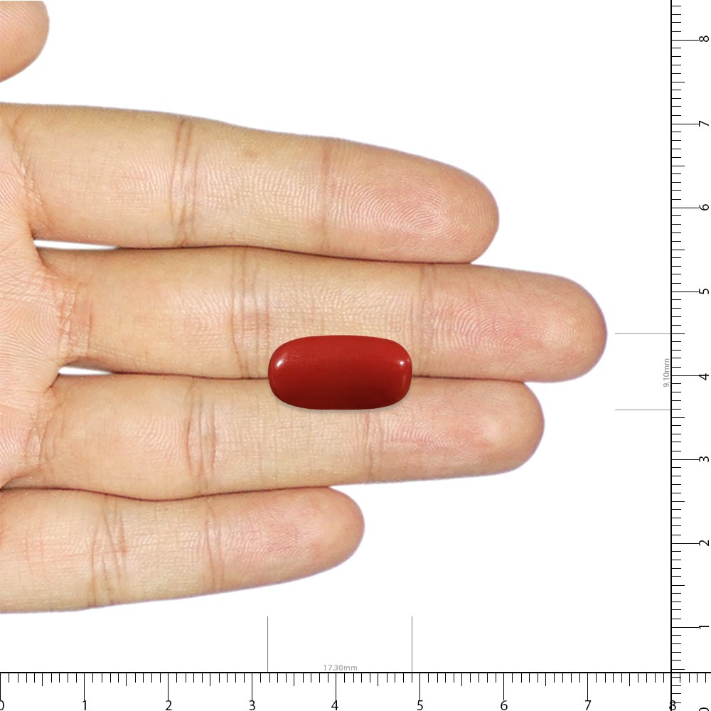 Red Coral - 6.45 Carat