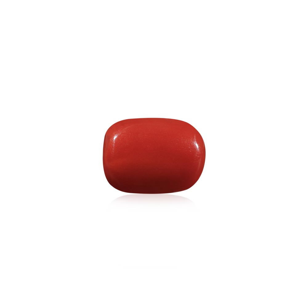 Red Coral - 6.47 Carat
