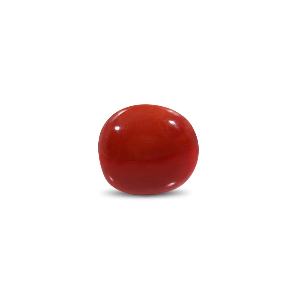 Red Coral - 6.49 Carat