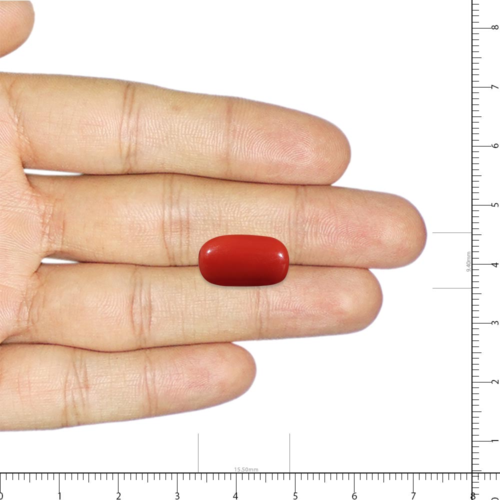 Red Coral - 6.49 Carat