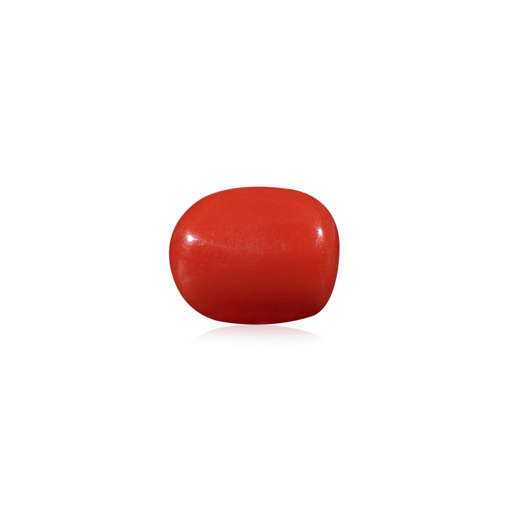 Red Coral - 6.51 Carat