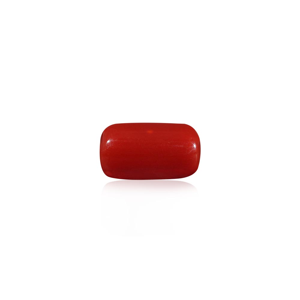 Red Coral - 6.53 Carat
