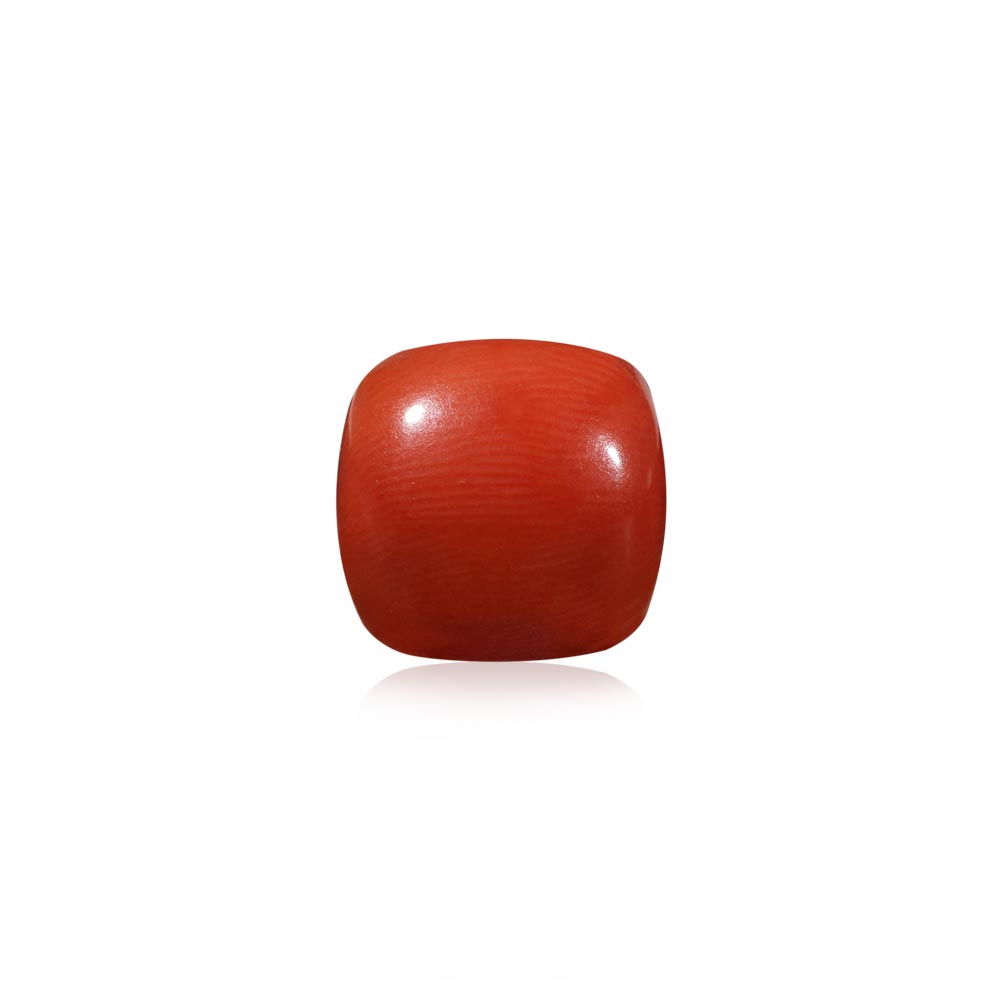 Red Coral - 6.53 Carat