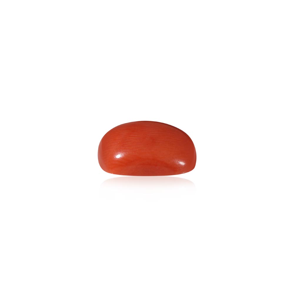 Red Coral - 6.53 Carat