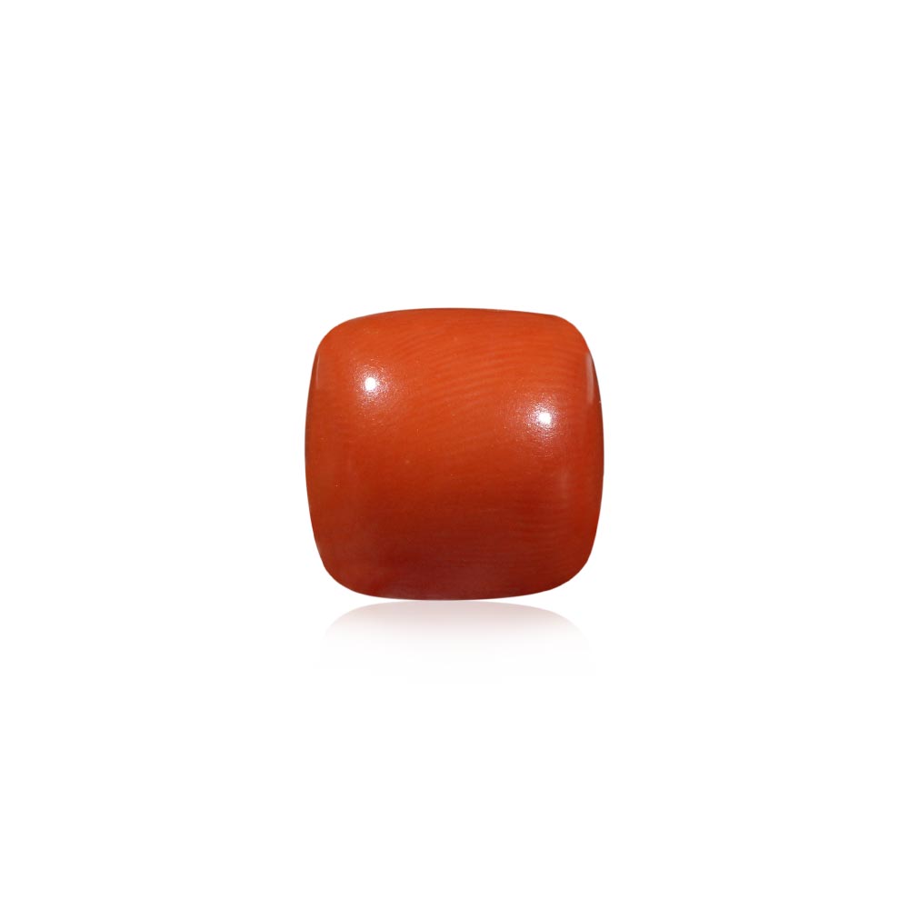 Red Coral - 6.55 Carat