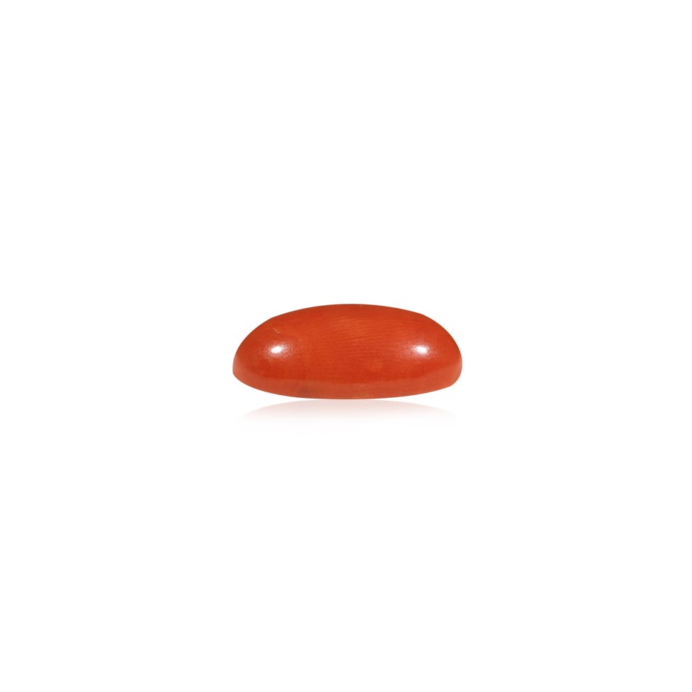 Red Coral - 6.56 Carat