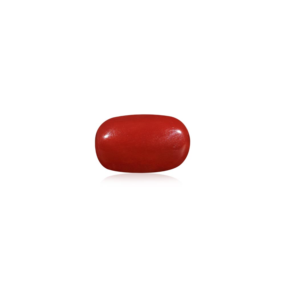 Red Coral - 6.56 Carat