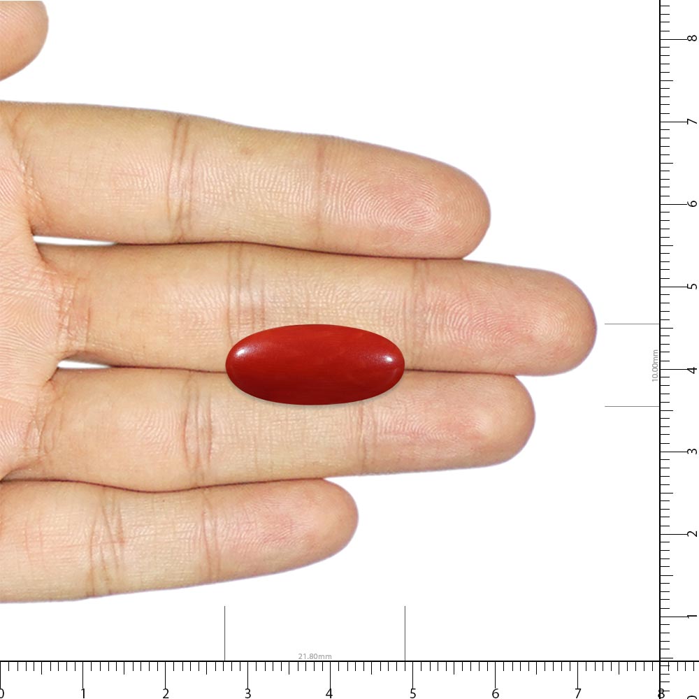 Red Coral - 6.57 Carat