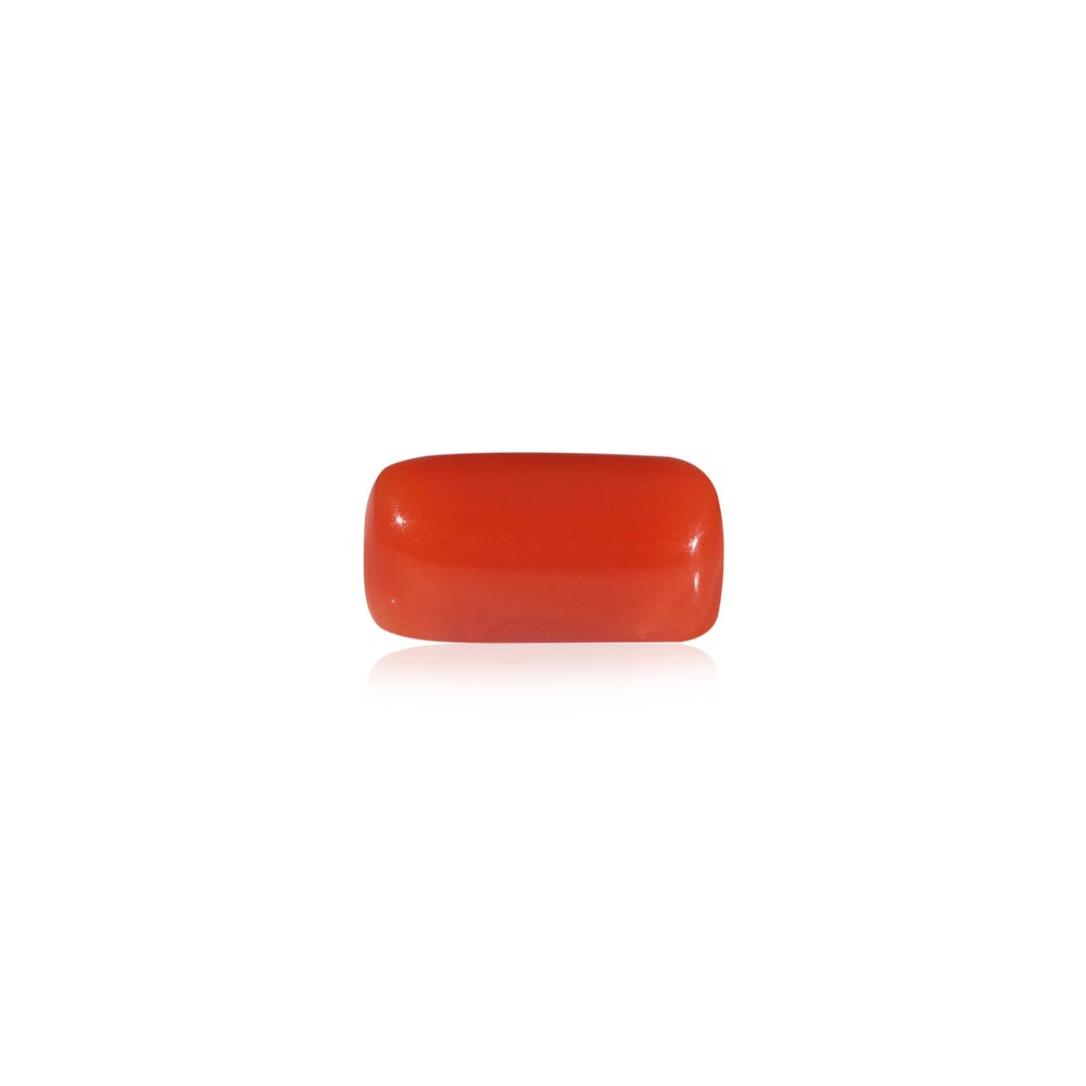 Red Coral - 6.61 Carat