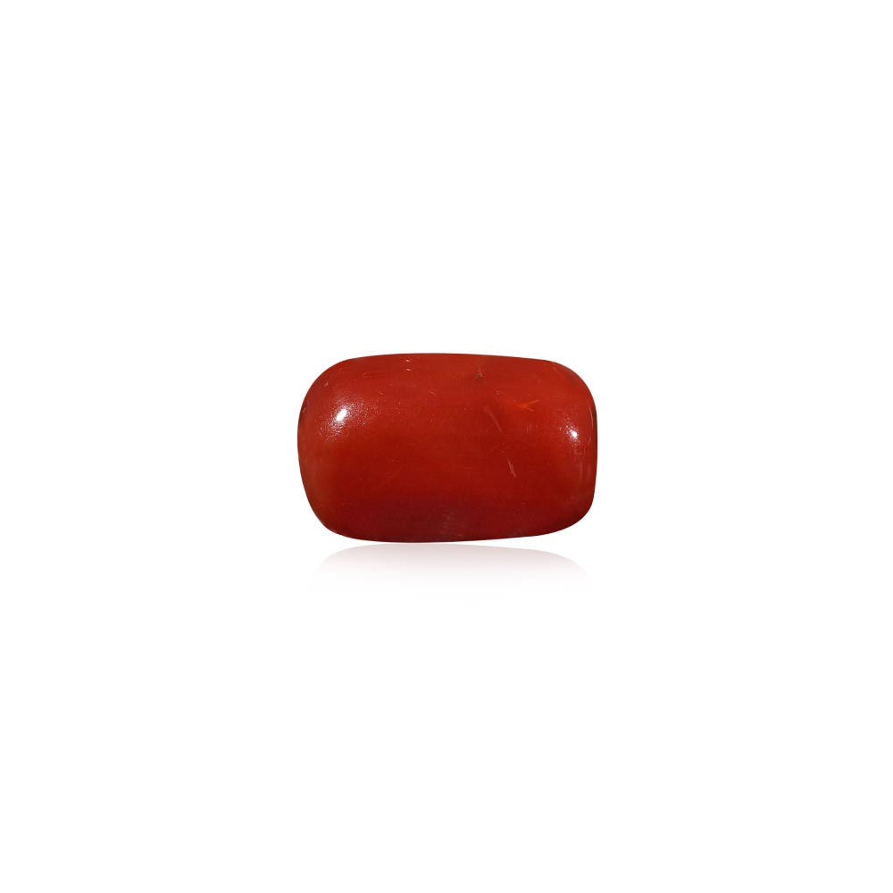 Red Coral - 6.63 Carat