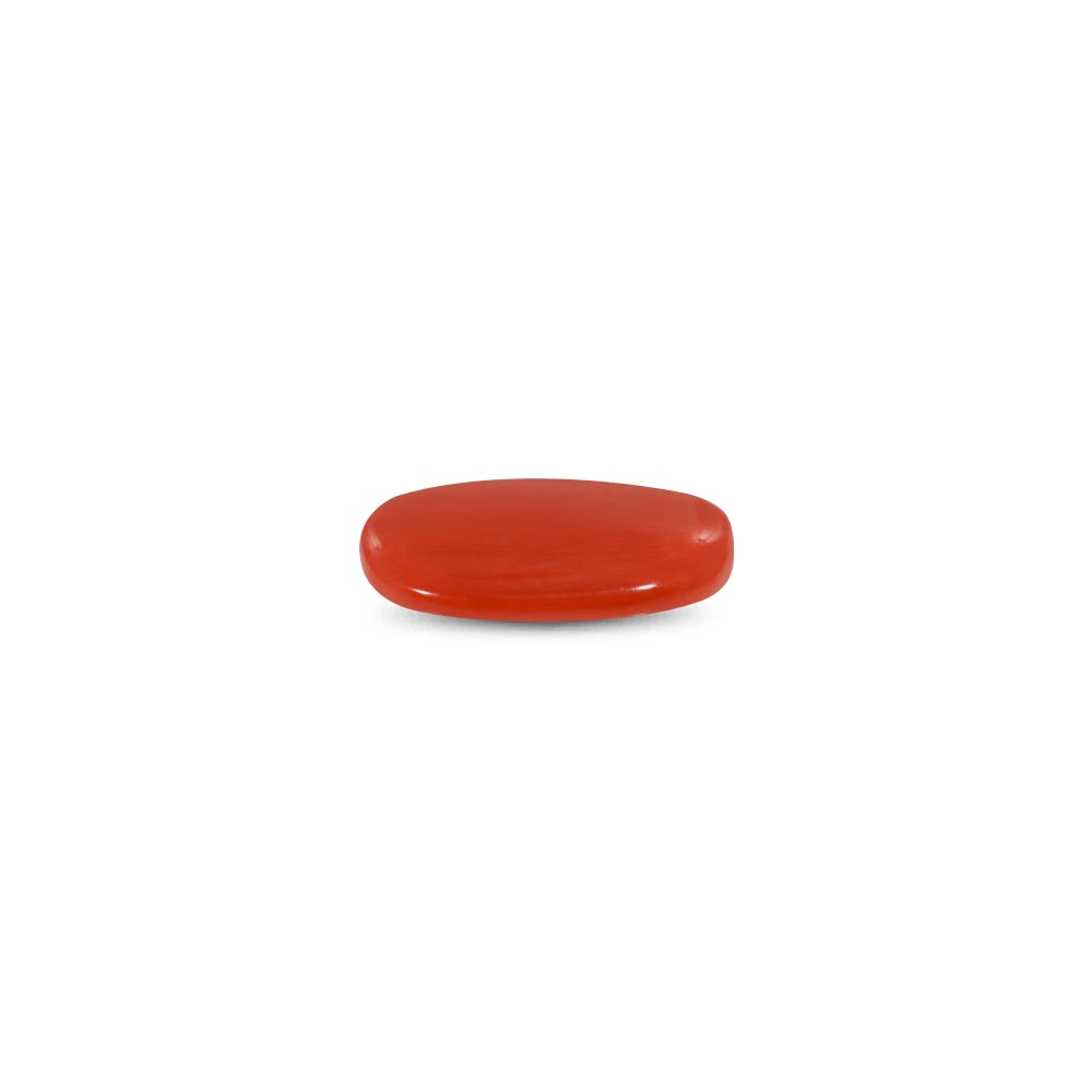 Red Coral - 6.63 Carat