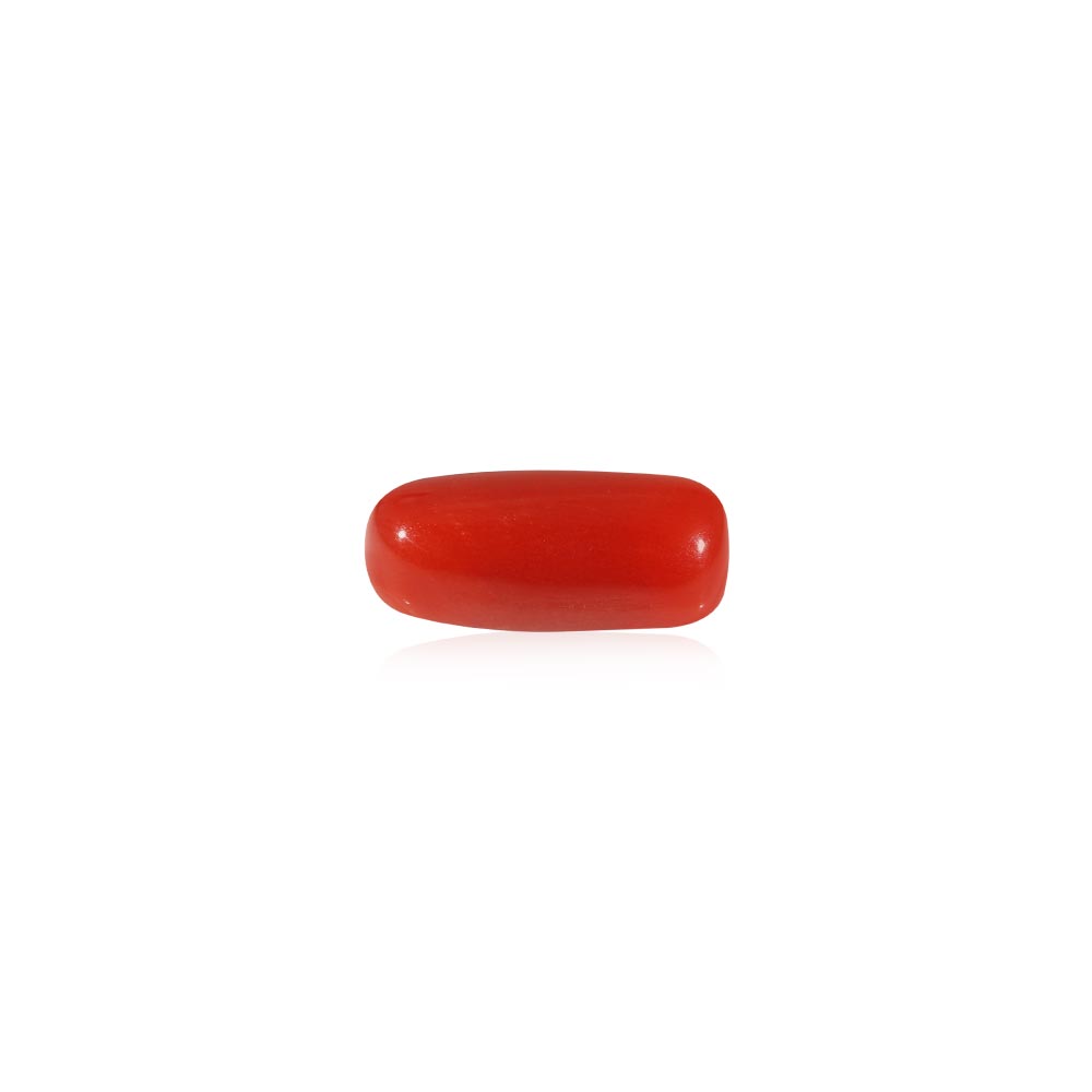 Red Coral - 6.67 Carat