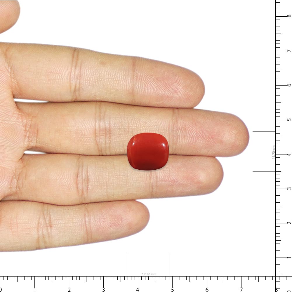 Red Coral - 6.69 Carat